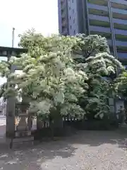 金神社(岐阜県)