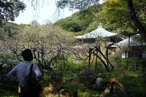 瑞泉寺の庭園