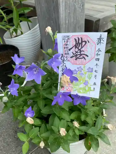 妙蓮寺の御朱印