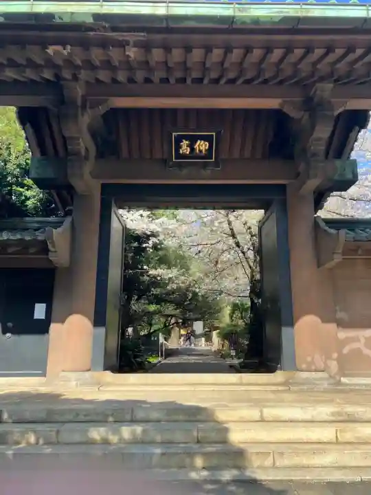 湯島聖堂(東京都)