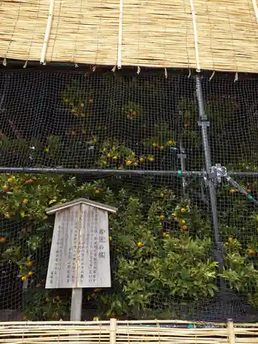 平安神宮(京都府)