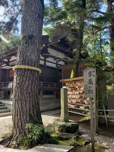 菟橋神社の自然