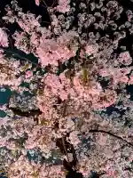 上目黒氷川神社(東京都)