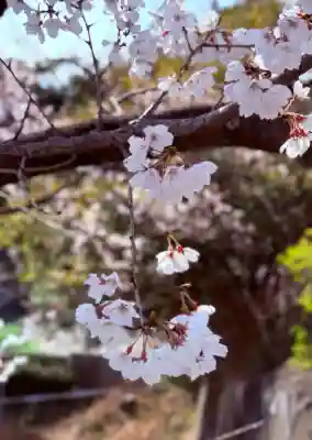 成田山名古屋別院大聖寺(犬山成田山)の{uncategorized: "未分類", other: "その他", undefined: "問題あり", building: "その他建物", grave: "お墓", sacred_gate: "鳥居", guardian: "狛犬", statue: "像", buddha: "仏像", history: "歴史", nature: "自然", garden: "庭園", animal: "動物", pagoda: "塔", temizu: "手水舎", mountain_gate: "山門・神門", sanctuary: "本殿・本堂", subordinate: "末社・摂社", art: "芸術", scenery: "景色", jizo: "地蔵", ema: "絵馬", goshuin: "御朱印", omikuji: "おみくじ", items: "授与品その他", amulet: "お守り", goshuincho: "御朱印帳", eats: "食事", festival: "お祭り", votive_dance: "神楽", shichigosan: "七五三参", wedding: "結婚式", experience: "体験その他", initially: "初詣", around: "周辺", anti_infection: "感染症対策"}