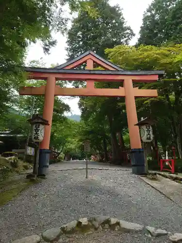 日吉大社の鳥居