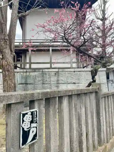 亀戸 香取神社の{uncategorized: "未分類", other: "その他", undefined: "問題あり", building: "その他建物", grave: "お墓", sacred_gate: "鳥居", guardian: "狛犬", statue: "像", buddha: "仏像", history: "歴史", nature: "自然", garden: "庭園", animal: "動物", pagoda: "塔", temizu: "手水舎", mountain_gate: "山門・神門", sanctuary: "本殿・本堂", subordinate: "末社・摂社", art: "芸術", scenery: "景色", jizo: "地蔵", ema: "絵馬", goshuin: "御朱印", omikuji: "おみくじ", items: "授与品その他", amulet: "お守り", goshuincho: "御朱印帳", eats: "食事", festival: "お祭り", votive_dance: "神楽", shichigosan: "七五三参", wedding: "結婚式", experience: "体験その他", initially: "初詣", around: "周辺", anti_infection: "感染症対策"}