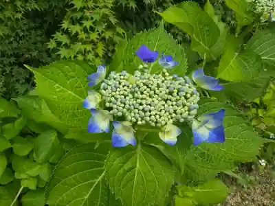 善水寺(滋賀県)