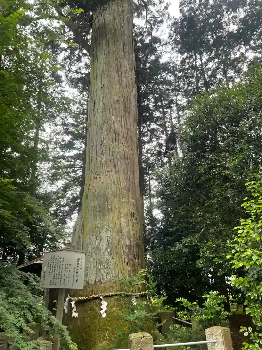 小林瀧尾神社(栃木県)