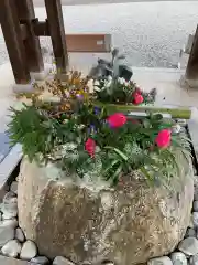 白鷺神社(栃木県)