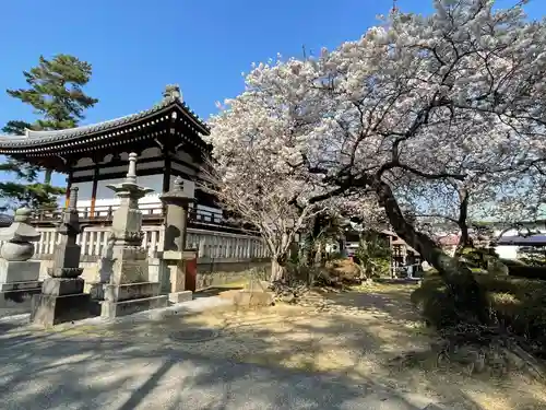 善通寺(香川県)