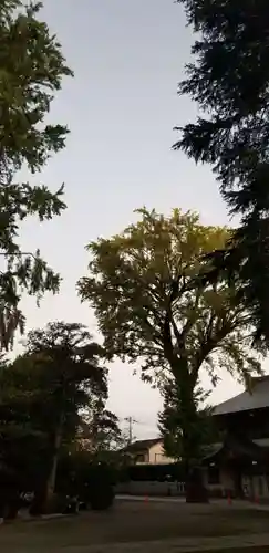 葛西神社のその他建物