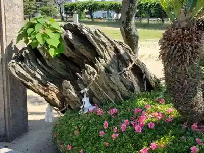 阿閇神社の自然