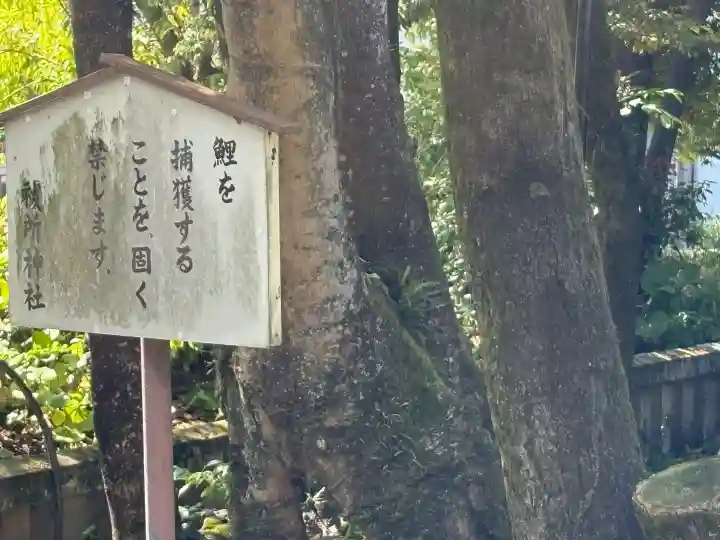 三嶋大社(静岡県)