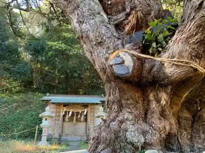 十二天神社の自然