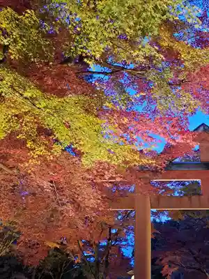 日吉大社(滋賀県)