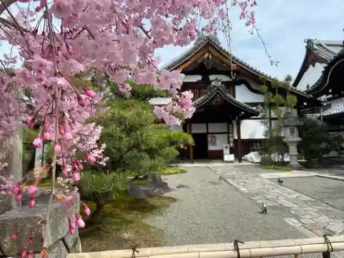 妙顯寺（妙顕寺）(京都府)