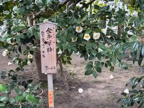 城南宮(京都府)