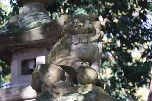 和田神社の狛犬