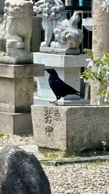 姫嶋神社(大阪府)