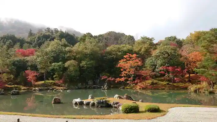 天龍寺の{uncategorized: "未分類", other: "その他", undefined: "問題あり", building: "その他建物", grave: "お墓", sacred_gate: "鳥居", guardian: "狛犬", statue: "像", buddha: "仏像", history: "歴史", nature: "自然", garden: "庭園", animal: "動物", pagoda: "塔", temizu: "手水舎", mountain_gate: "山門・神門", sanctuary: "本殿・本堂", subordinate: "末社・摂社", art: "芸術", scenery: "景色", jizo: "地蔵", ema: "絵馬", goshuin: "御朱印", omikuji: "おみくじ", items: "授与品その他", amulet: "お守り", goshuincho: "御朱印帳", eats: "食事", festival: "お祭り", votive_dance: "神楽", shichigosan: "七五三参", wedding: "結婚式", experience: "体験その他", initially: "初詣", around: "周辺", anti_infection: "感染症対策"}