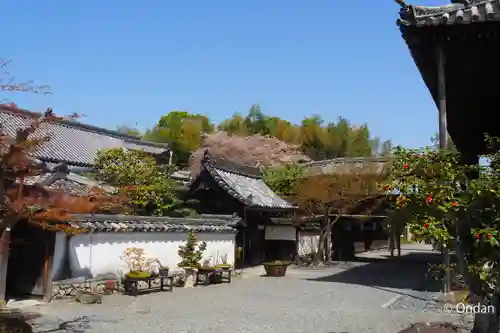 穴太寺の御朱印