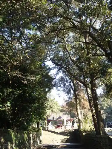 大己貴神社の景色