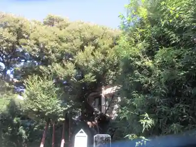 延命院(東京都)