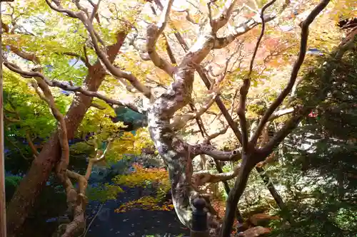 禅林寺（永観堂）(京都府)