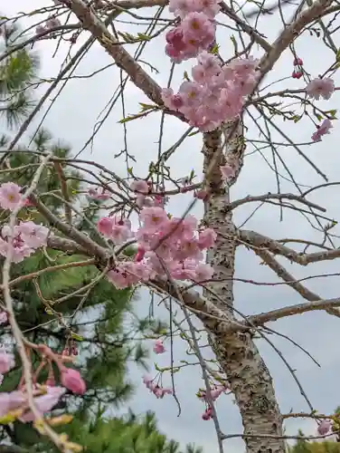正法寺(京都府)