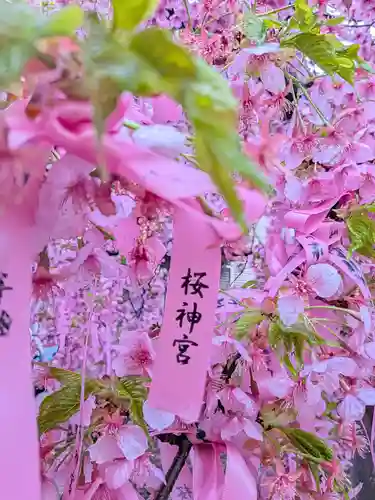桜神宮(東京都)