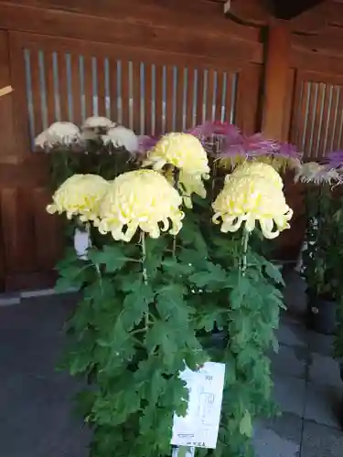 寒川神社(神奈川県)