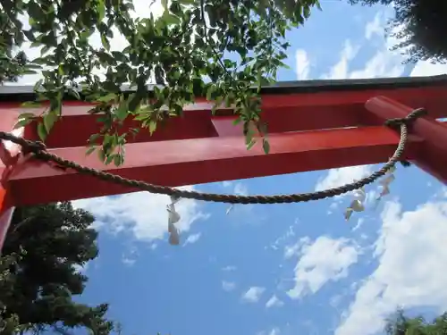 諏訪神社の鳥居