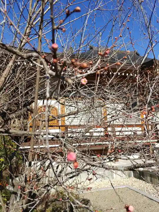 長楽寺(群馬県)