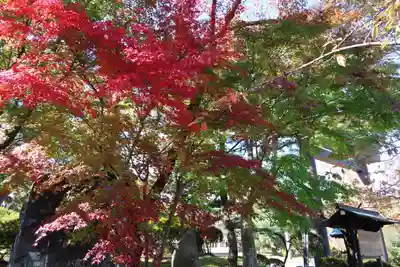 開成山大神宮の庭園