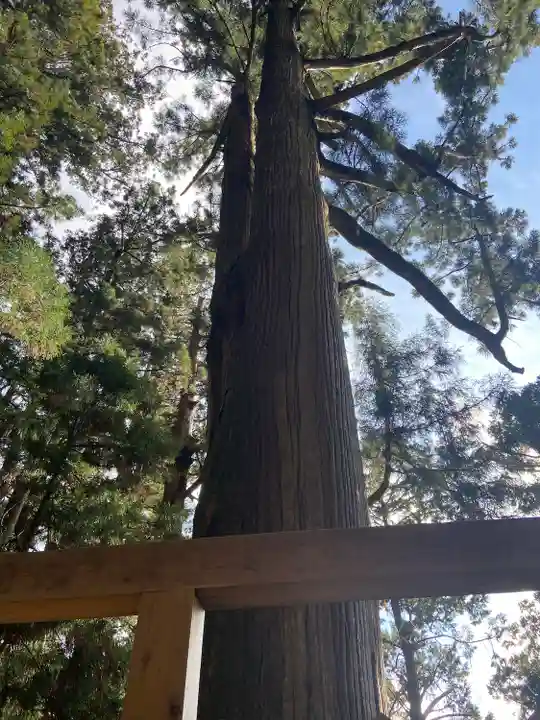 玉置神社(奈良県)