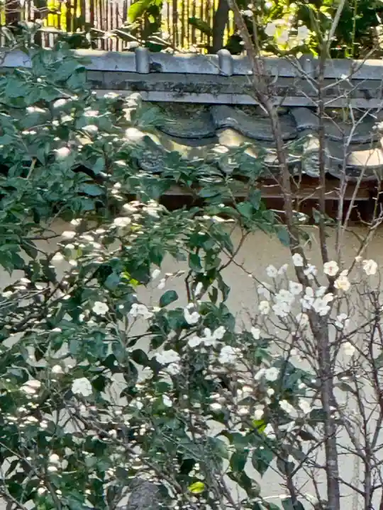 廬山寺(廬山天台講寺)(京都府)