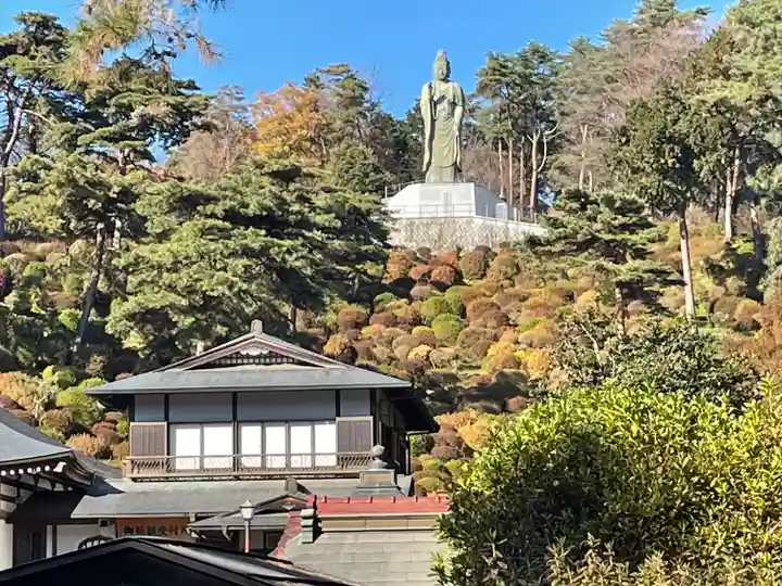 塩船観音寺(東京都)