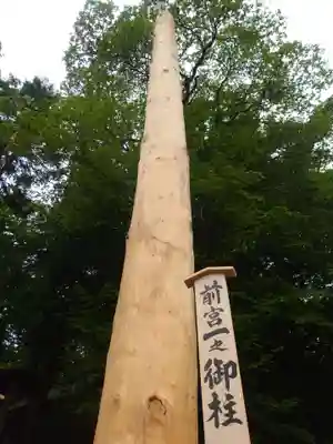 諏訪大社上社前宮(長野県)