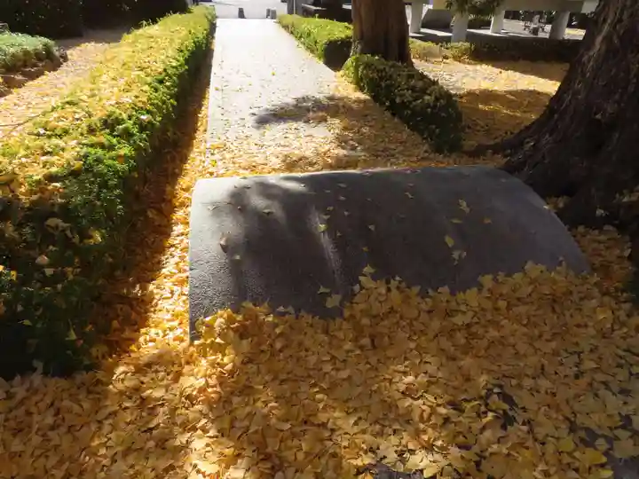 星谷寺(神奈川県)