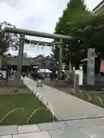 浅草神社の鳥居