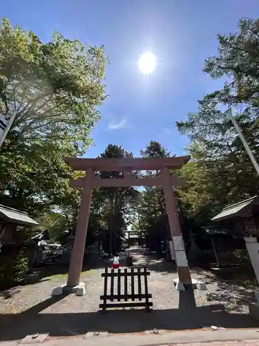 琴似神社の鳥居