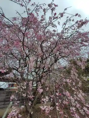 八幡神社(埼玉県)