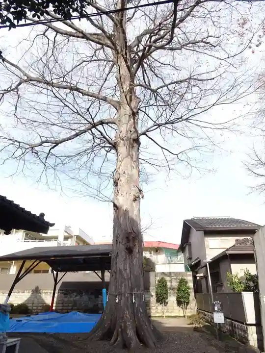 宮城野八幡神社(宮城県)