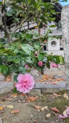 本満寺(本願満足寺)(京都府)