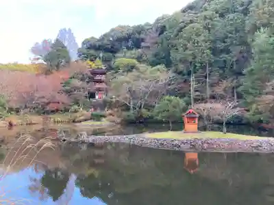 浄瑠璃寺(京都府)