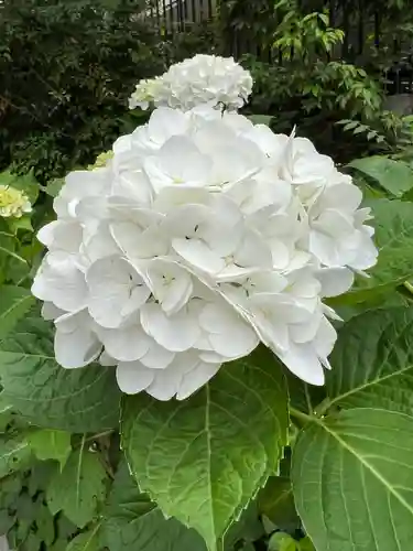 瀬田玉川神社の自然