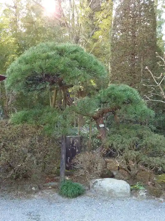 玉泉寺(埼玉県)
