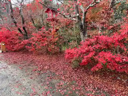鍬山神社の自然