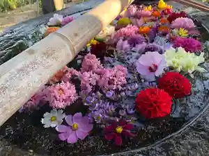 春日神社の手水舎 2020年10月01日(木)〜(2020年09月30日(水) 22時48分51秒投稿)