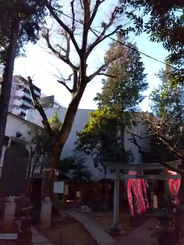 くまくま神社(導きの社 熊野町熊野神社)(東京都)